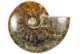 Polished, Agatized Ammonite (Cleoniceras) - Madagascar #104858-1